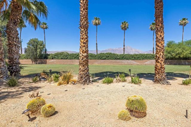 Detail Gallery Image 38 of 48 For 1010 Palm Canyon Dr #294, Borrego Springs,  CA 92004 - 2 Beds | 2 Baths