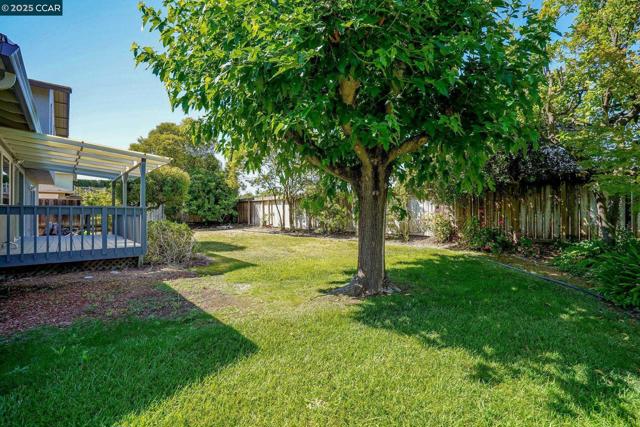 715 Graymont Circle, Concord CA: https://media.crmls.org/mediaz/c0e82209-4c7d-476c-af06-9bd3899f41b5.jpg