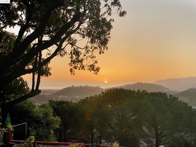 1051 Lea Drive, San Rafael CA: https://media.crmls.org/mediaz/c0ed2543-aca4-493b-9b08-5594db345fff.jpg