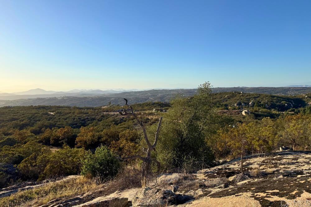 MLS #PTP2507282 image #26