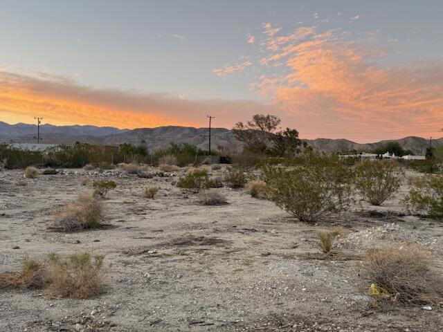 MLS #219138099DA image #4