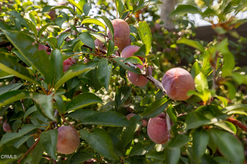 https://media.crmls.org/mediaz/c0fdb2ad-f493-4da4-aa92-95f4dbb5d49a.jpg?preset=X-Large