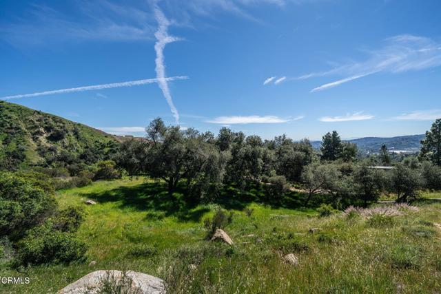 Detail Gallery Image 11 of 44 For 4700 Rising Hill Rd, Altadena,  CA 91001 - – Beds | – Baths