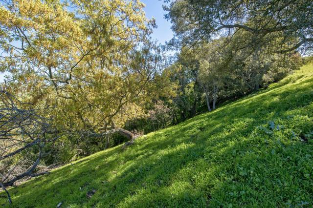 0 Bella Madeira Lane, San Jose CA: https://media.crmls.org/mediaz/c10384cd-b1df-4344-ba47-b6bdacd62019.jpg