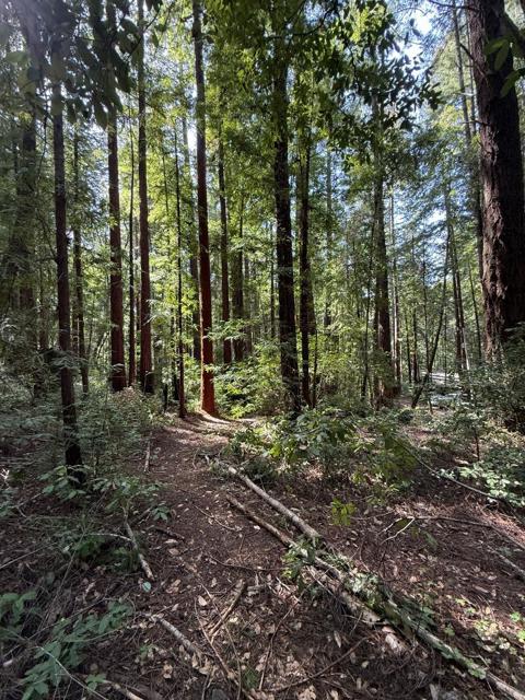 0 Slate Creek Rd., La Honda CA: https://media.crmls.org/mediaz/c1066cdd-ab18-4f81-a283-0ae4bdc5ea62.jpg
