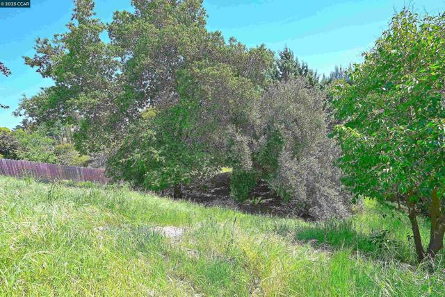 Image 24 of 28 For 1430 Piedra Dr