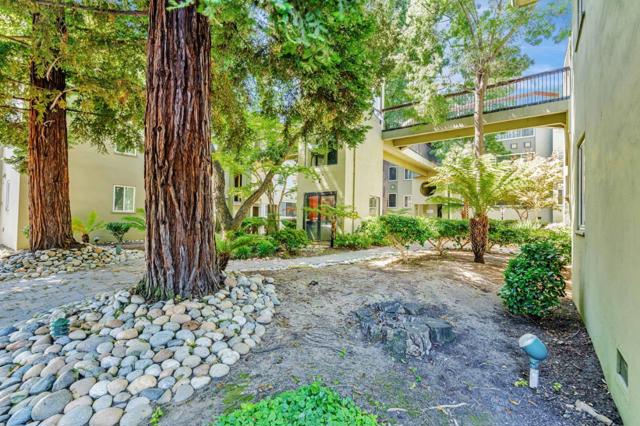 177 N El Camino Real, San Mateo CA: https://media.crmls.org/mediaz/c11d6841-be2e-4996-a91a-dce5b07ca02e.jpg