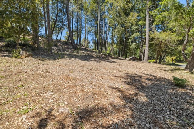 601 Westdale Drive, Santa Cruz CA: https://media.crmls.org/mediaz/c12a1659-ae96-4a90-a890-f9913566848e.jpg