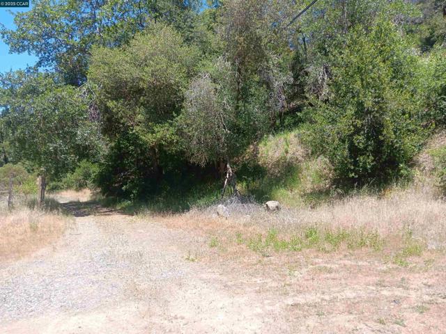 55855 Highway 101, Laytonville CA: https://media.crmls.org/mediaz/c12e53e6-eadf-45ad-a760-e00b1a2c7a60.jpg