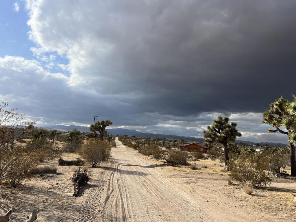 MLS #219138998DA image #9