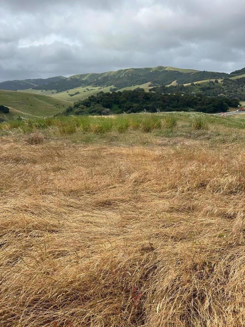 MLS #ML82007272 image #18