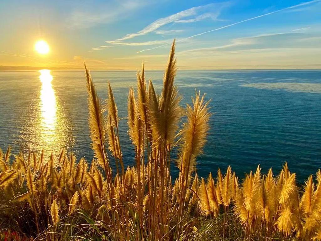 https://media.crmls.org/mediaz/c13e66e3-a0e7-4ea3-9081-c60bbb5d3985.jpg?preset=X-Large