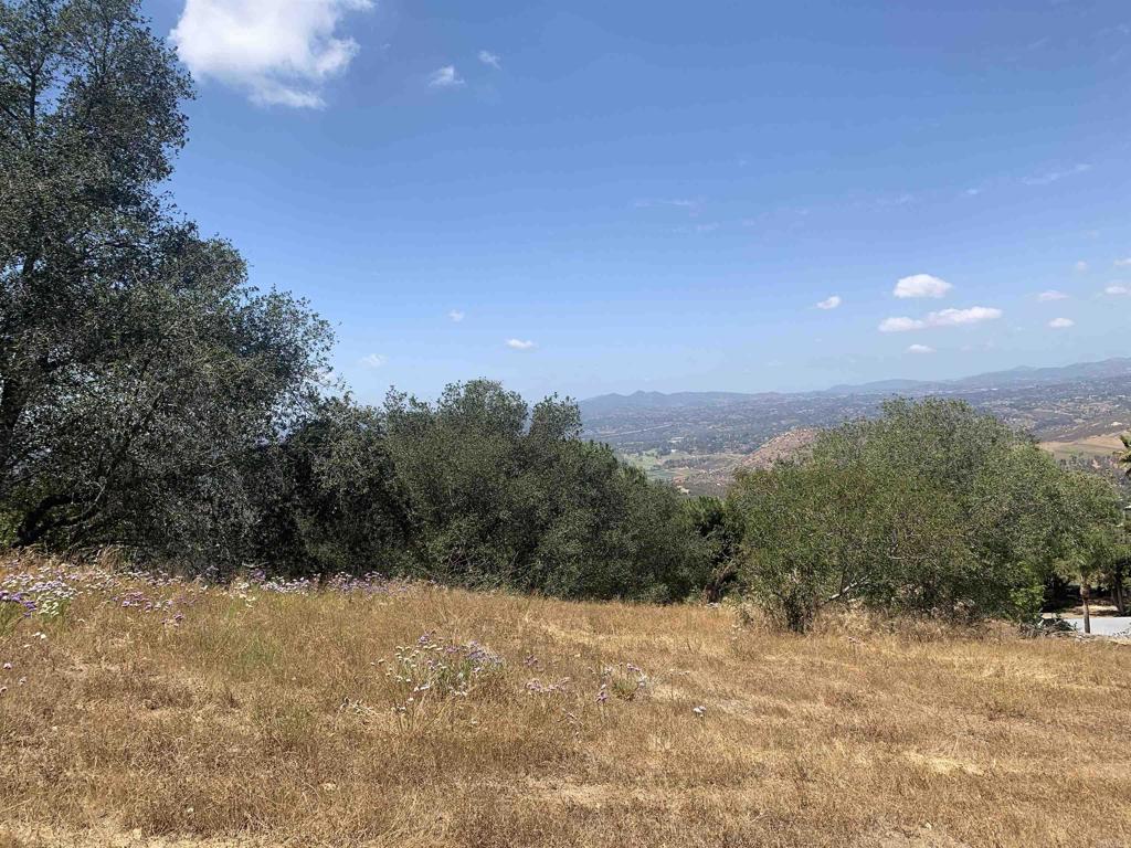 19519 Camino Del Aguila - photo 20
