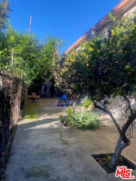 10926 Hortense Street photo 8