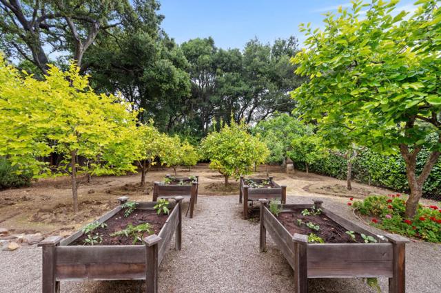 37 Lupin Lane, Atherton CA: https://media.crmls.org/mediaz/c161a82d-c0ab-4b27-8296-46074a48e4fe.jpg