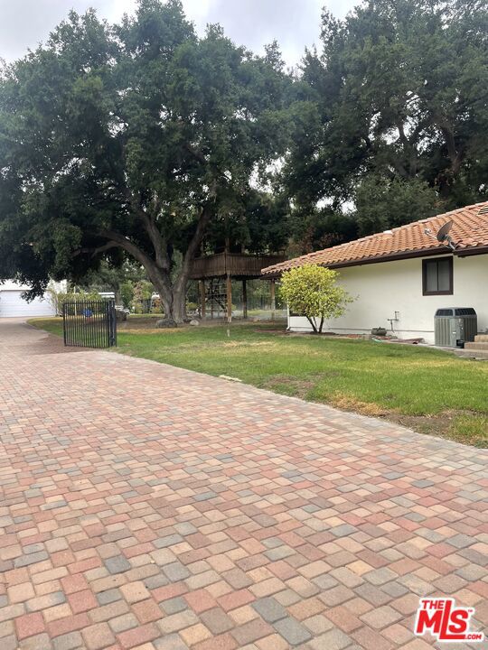 Side Yard and Driveway