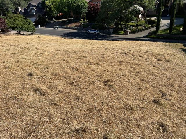 102 Black Gold Lane, Folsom CA: https://media.crmls.org/mediaz/c1734165-388c-4b85-90f5-4aa130596ec8.jpg
