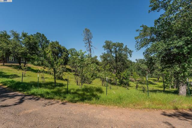 21679 Squaw Grass Trail, Redding CA: https://media.crmls.org/mediaz/c173f275-316a-434b-a65e-903ef221f593.jpg