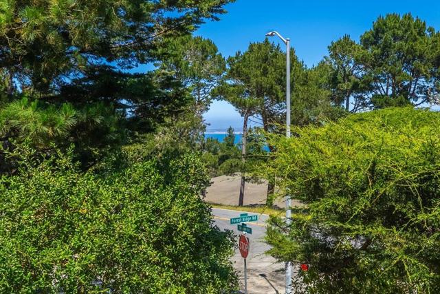 1 Windsor Rise, Monterey CA: https://media.crmls.org/mediaz/c181cf26-cfe4-4054-9910-4605c97a388b.jpg