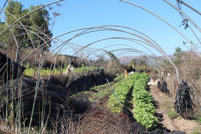 Detail Gallery Image 10 of 32 For 1672 E Los Angeles Ave, Somis,  CA 93066 - – Beds | – Baths