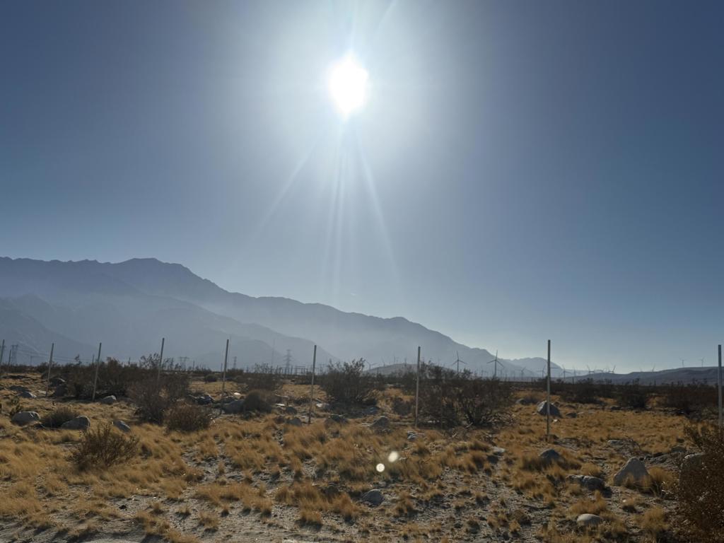 MLS #219131666DA image #9