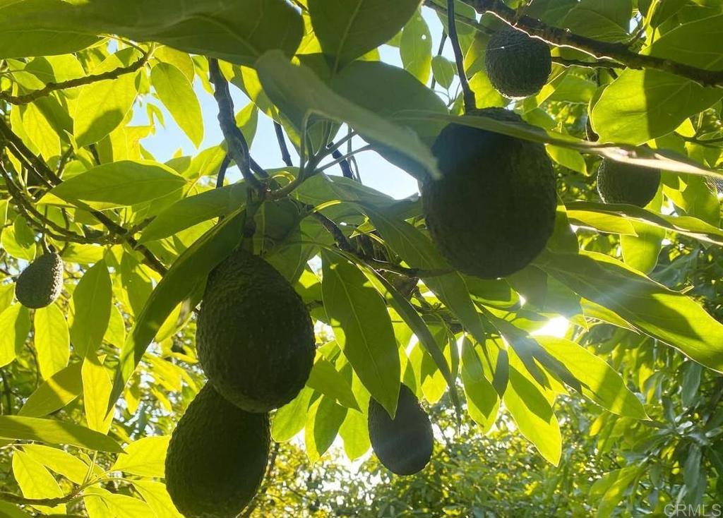 MLS #NDP2410465 image #9