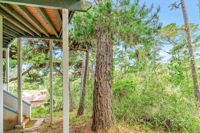 81 Corona Road, Carmel CA: https://media.crmls.org/mediaz/c19df8cc-d4ca-4097-bf58-34c9468ea477.jpg