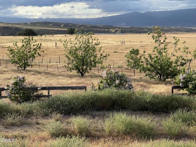 2170 Aliso Park Road, Cuyama CA: https://media.crmls.org/mediaz/c1a7da3b-a804-44fc-8b7a-7c4d69090c91.jpg