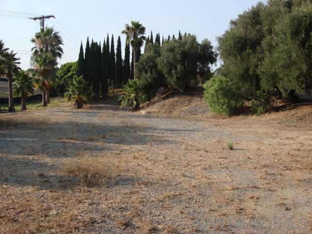 1252 Navel Place - photo 8