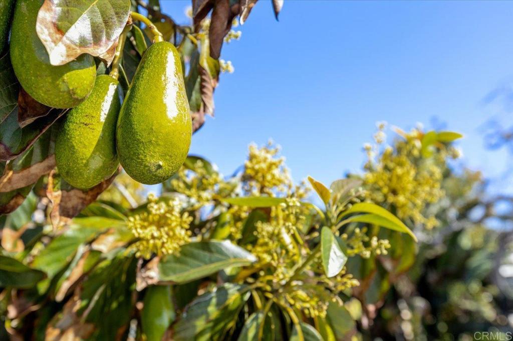 3630 Donna Drive - photo 17