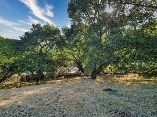 514 Live Oak Lane, Redwood City CA: https://media.crmls.org/mediaz/c1b4f3be-8260-4dad-be98-239eb02587c2.jpg