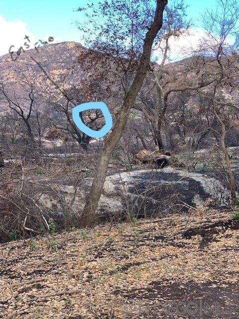 0 Bunny Dr.,  CA: https://media.crmls.org/mediaz/c1b8ff80-b483-4c17-97f1-e291dd59f286.jpg