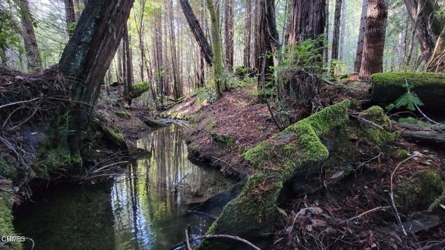 Detail Gallery Image 14 of 25 For 26030 Comptche Ukiah Rd, Comptche,  CA 95427 - – Beds | – Baths