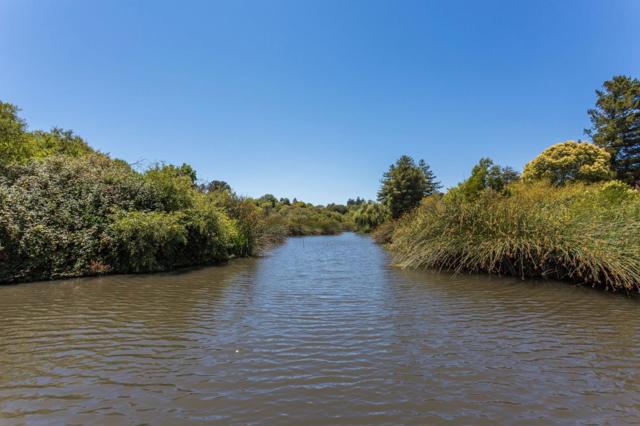102 Tree Frog Lane, Santa Cruz CA: https://media.crmls.org/mediaz/c1d03aa7-d53f-49b6-8d1e-b7982fb5082d.jpg