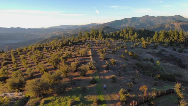 47211 Fox Rock Road, Laytonville CA: https://media.crmls.org/mediaz/c1d5f310-c9fa-436c-bc83-ba44ab532e24.jpg