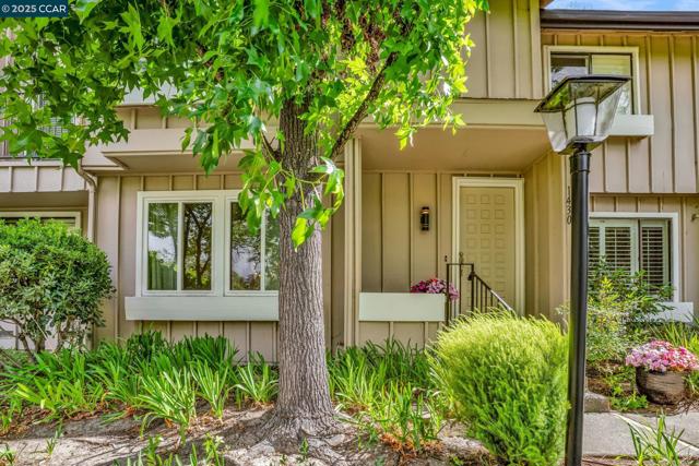 1430 Tampico Pl, Walnut Creek CA: https://media.crmls.org/mediaz/c1d8ac3f-d3ff-4010-96bf-d7178015bcb2.jpg