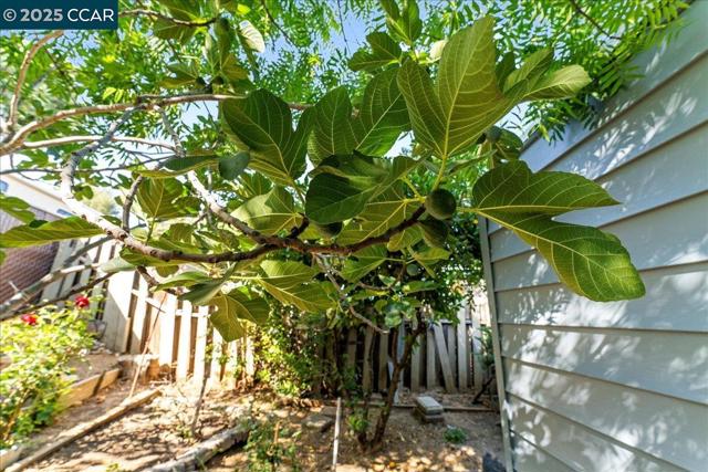 100 Welcome Ave, Concord CA: https://media.crmls.org/mediaz/c1d9139c-63fd-425d-a8b4-095491e964f1.jpg