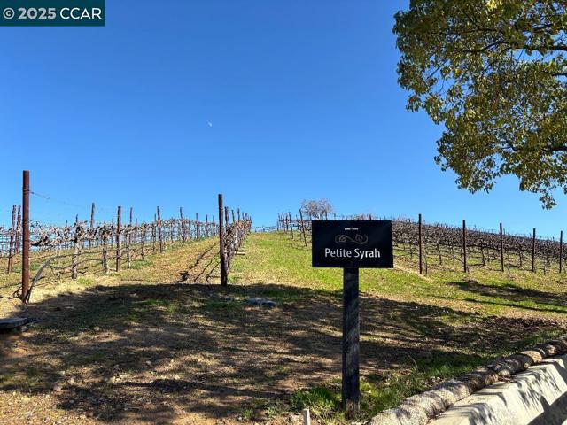 1759 Latour Ave, Brentwood CA: https://media.crmls.org/mediaz/c1fd5e1f-9164-44c5-a99c-9ec1090927cb.jpg