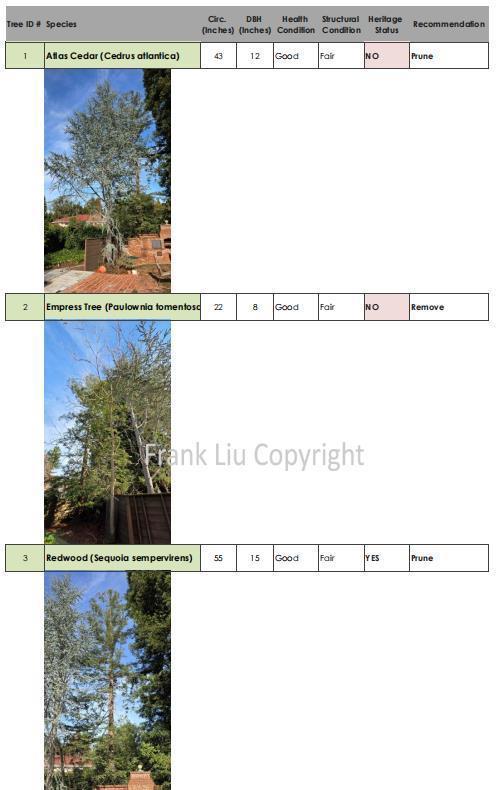 269 Selby Lane, Atherton CA: https://media.crmls.org/mediaz/c1ff267f-0724-4a89-8df3-2edf690304fb.jpg