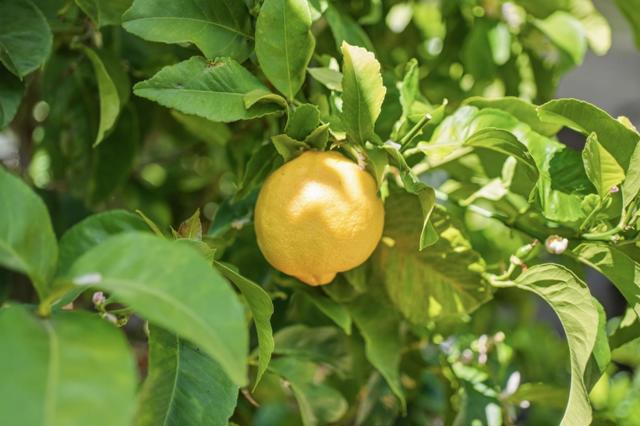 Image 78 of 101 For 845 Groton Court