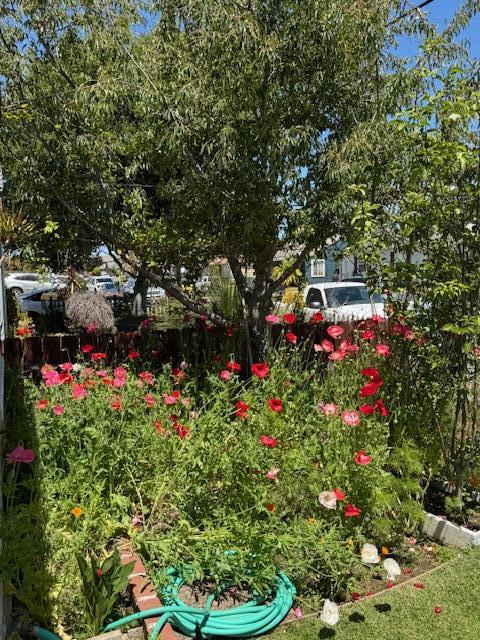 129 Rodeo Avenue, Salinas CA: https://media.crmls.org/mediaz/c203747d-5c96-4132-bc0f-a8ea33813357.jpg