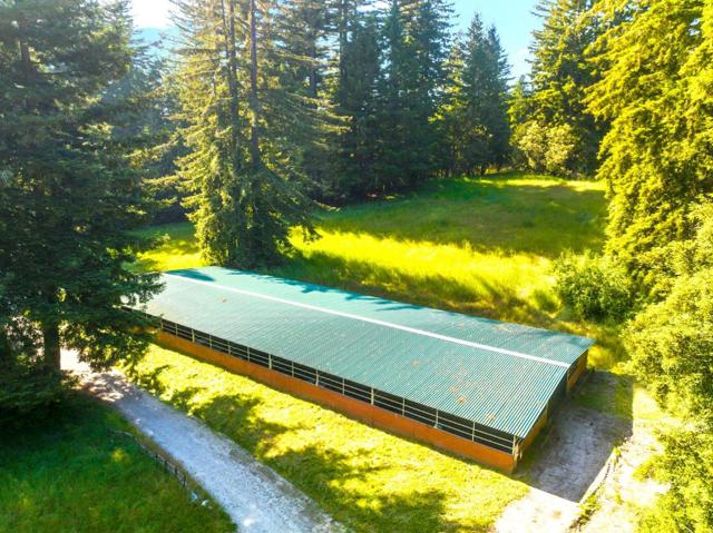 3675 Bonny Doon Road, Santa Cruz CA: https://media.crmls.org/mediaz/c21421f8-50d3-4c68-be22-f4477ea73940.jpg