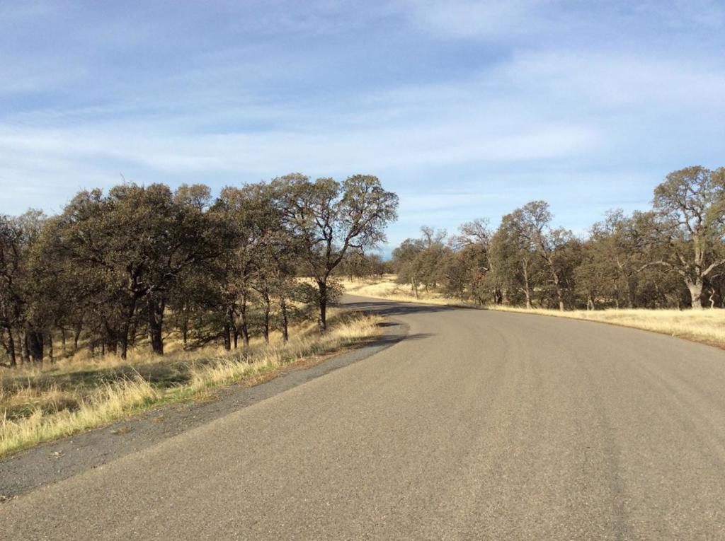 MLS #ML81976138 image #8