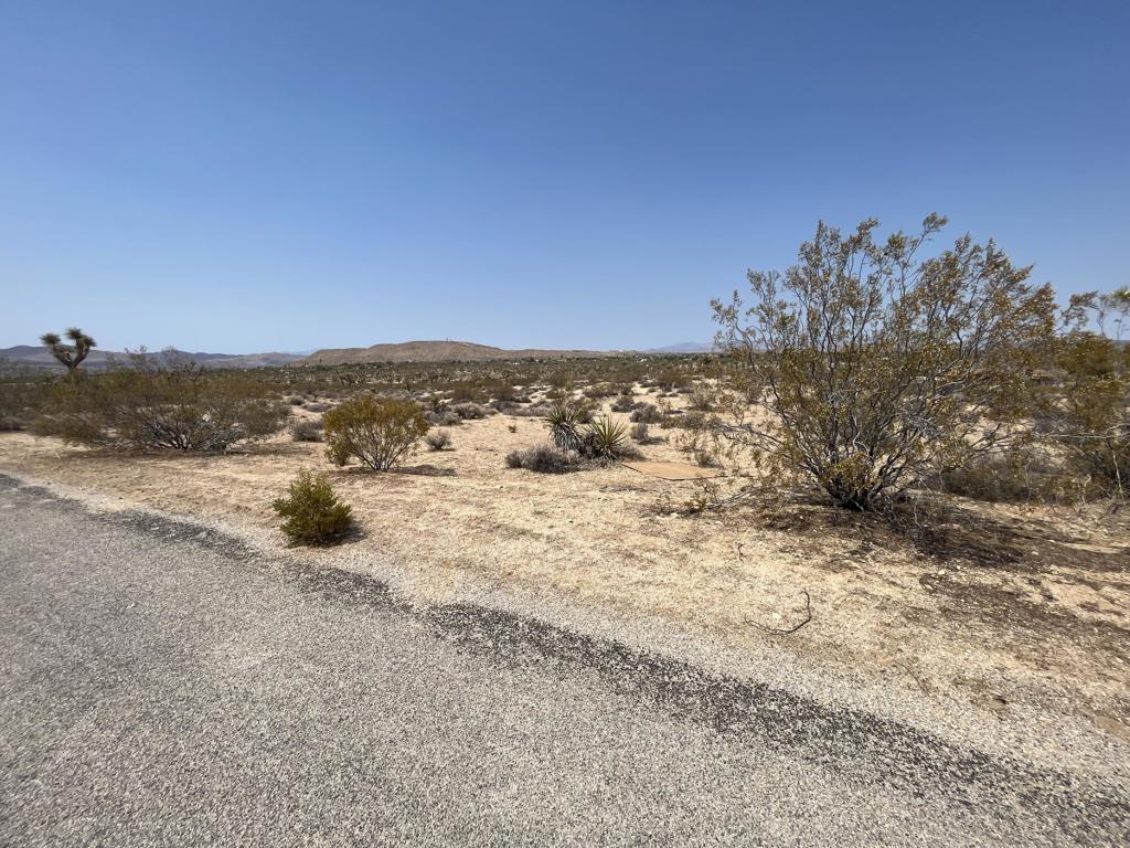 MLS #219132715DA image #11