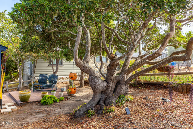 Detail Gallery Image 36 of 37 For 5140 Guildford Dr Dr, Cambria,  CA 93428 - 1 Beds | 1 Baths