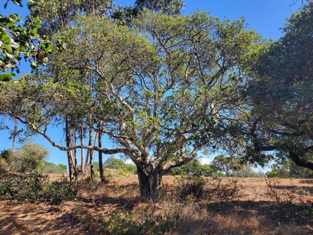 19705 Moonglow Road, Salinas CA: https://media.crmls.org/mediaz/c23e36dc-762f-49d7-ab24-52717968e6c2.jpg