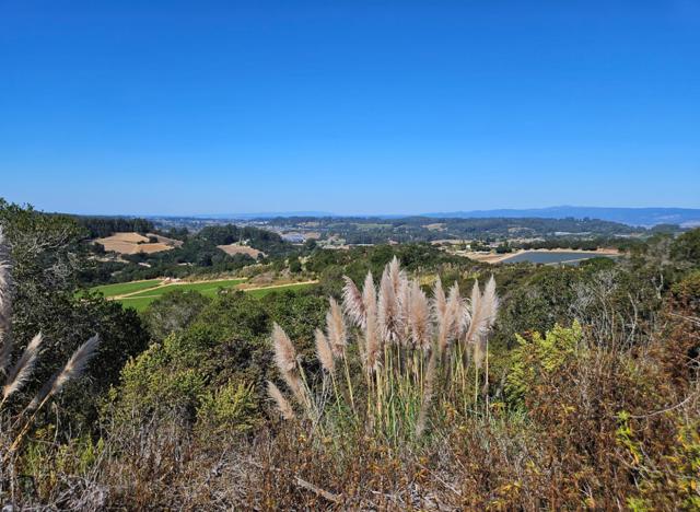 417 Maher Road, Royal Oaks CA: https://media.crmls.org/mediaz/c241c668-ca32-4617-8e13-b94b4424c26f.jpg