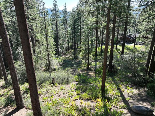 881 Onnontioga Street, South Lake Tahoe CA: https://media.crmls.org/mediaz/c24fa091-72bc-47e5-a0d8-41a461ef0fcd.jpg