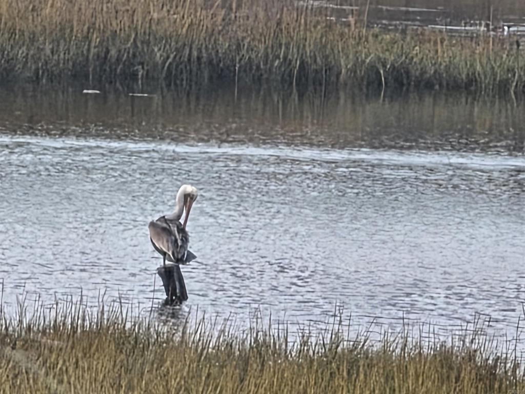 MLS #PTP2505359 image #41