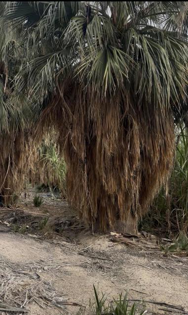 Detail Gallery Image 29 of 30 For 2310 W Highway 86 Rd, Brawley,  CA 92227 - 3 Beds | 2 Baths